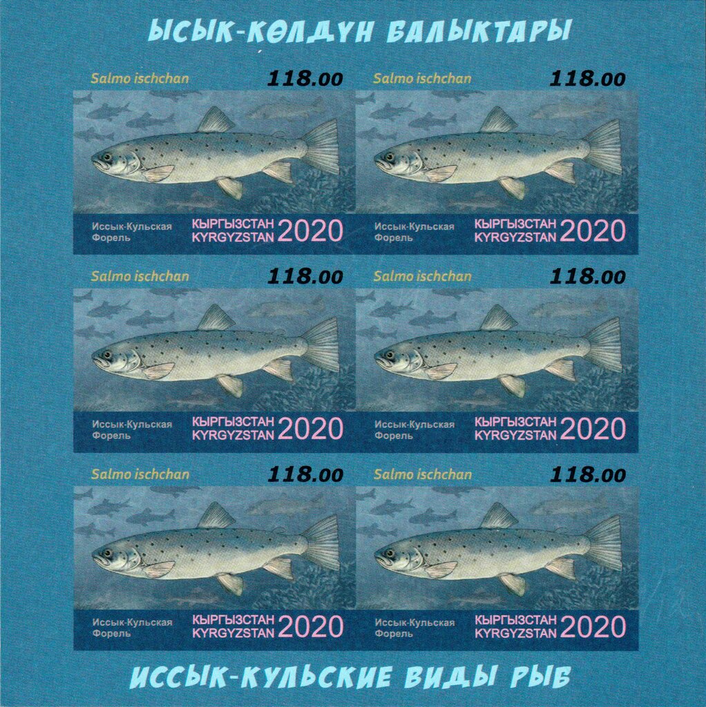 Sevan Trout (Salmo ischchan)