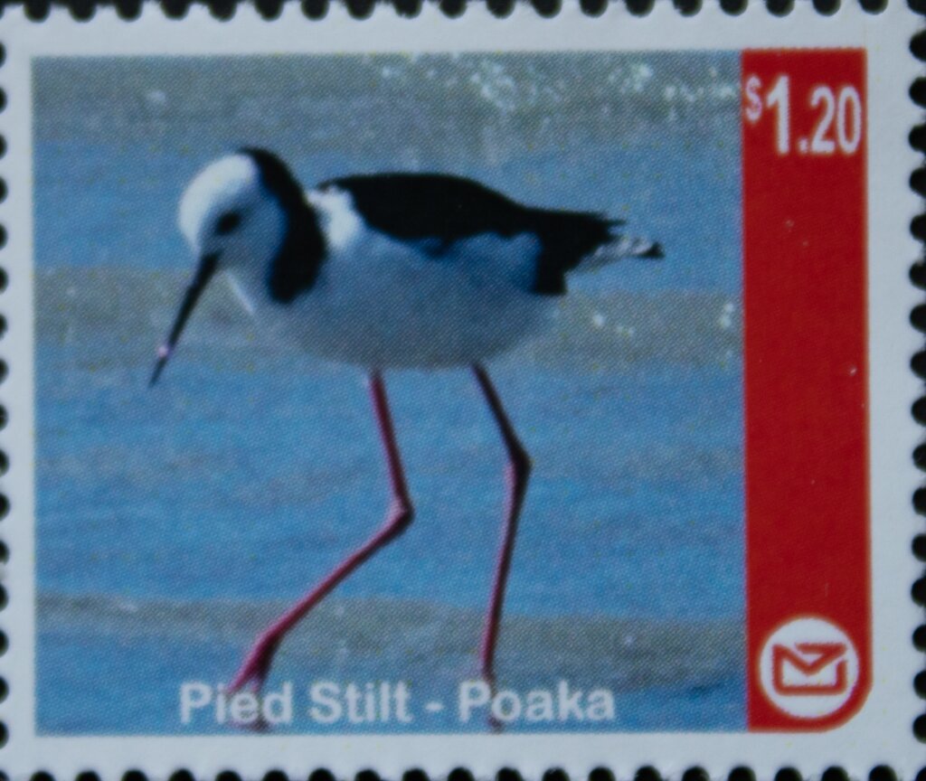 Pied Stilt CAL stamp