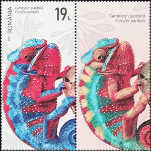 Stamp with Attached Label, Panther Chameleon (Furcifer pardalis), Romania,  , Animals (Fauna), Chameleons, Lizards, Reptiles