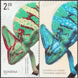 Stamp with Attached Label, Veiled Chameleon (Chamaeleo calyptratus), Romania,  , Animals (Fauna), Chameleons, Lizards, Reptiles