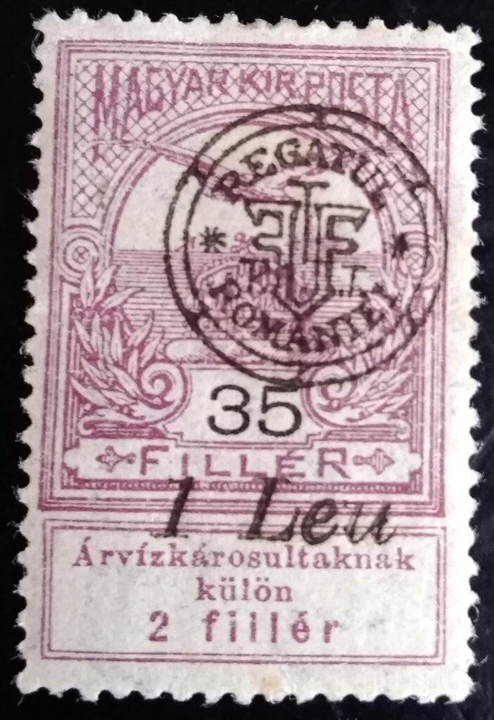 Mythical bird Turul flying over Crown of St. Stephen
