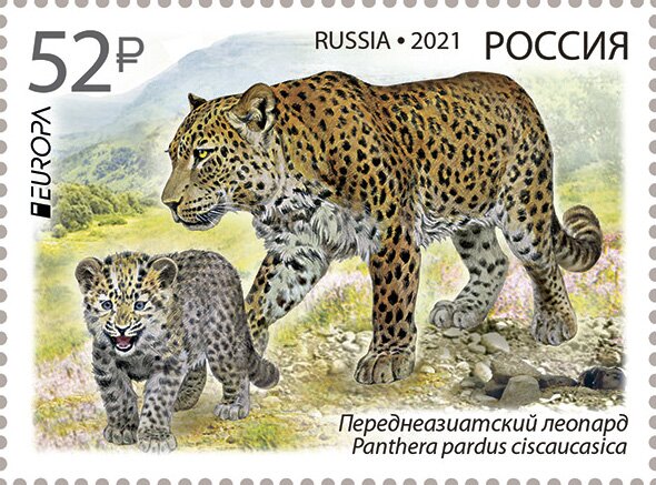Europa (C.E.P.T.) 2021 - Persian Leopard (Panthera pardus_