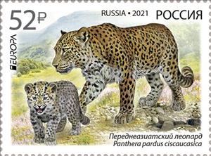 Stamp, Europa (C.E.P.T.) 2021 - Persian Leopard (Panthera pardus_, Russia,  , Animals (Fauna), C.E.P.T. / Europe, Leopards, Mammals, Wild Cats