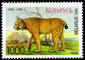 Stamp Lynx