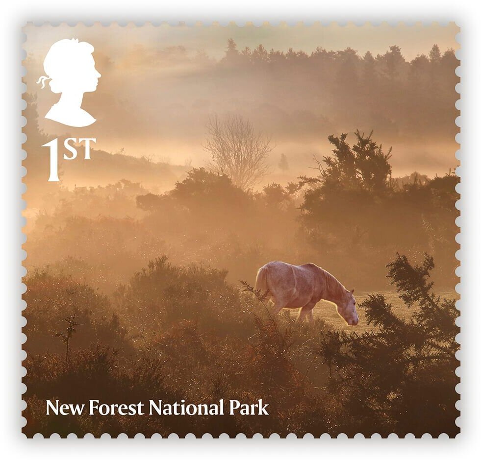 New Forest National Park