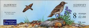 Booklet, Anthus petrosus, Matthiola incana (booklet), Alderney,  , Animals (Fauna), Birds, Flowers, Plants (Flora)