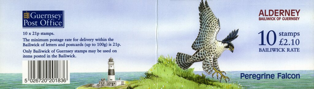 Peregrine Falcon (Falco peregrinus), Ruddy Turnstone (Arenar