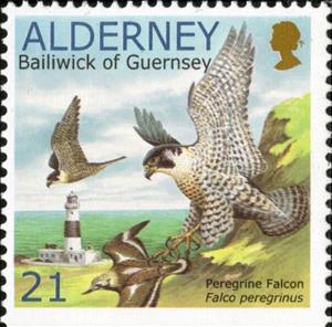 Stamp, Peregrine Falcon (Falco peregrinus), Ruddy Turnstone (u), Alderney,  , Animals (Fauna), Birds, Birds of Prey, Falcons, Lighthouses