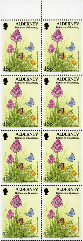 Polyommatus icarus, Anacamptis pyramidalis (booklet pane)