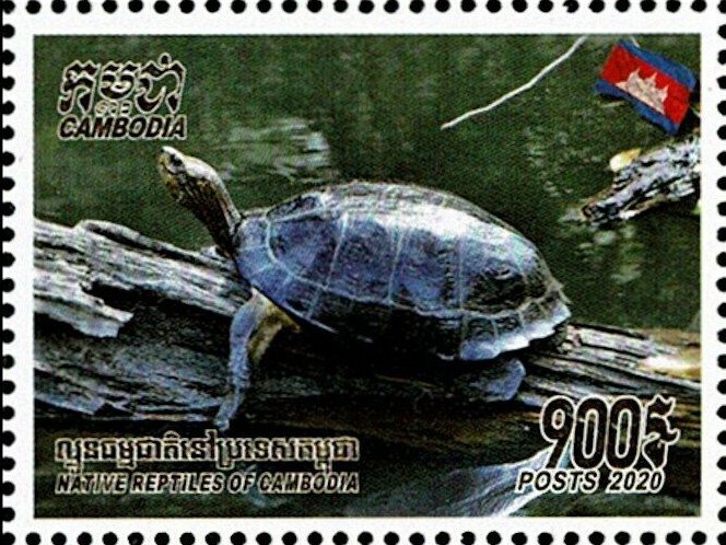 Heosemys annandalii
