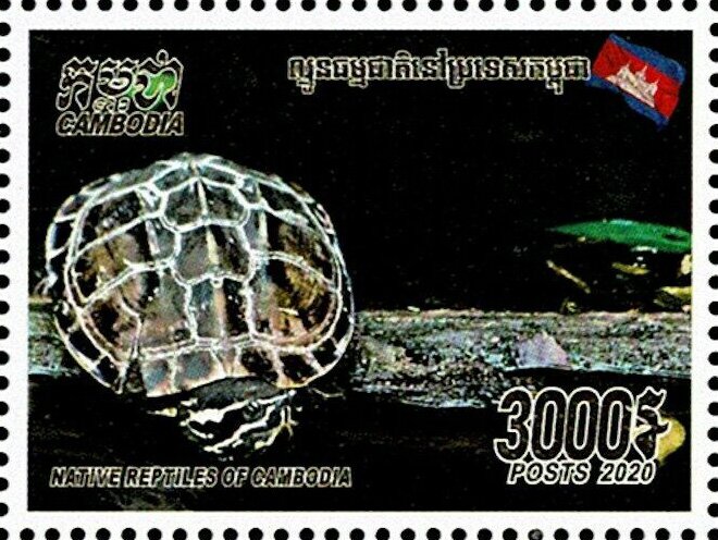 Malayemys subtrijuga