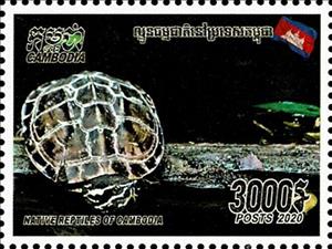 Stamp, Malayemys subtrijuga, Cambodia,  , Animals (Fauna), Reptiles, Turtles