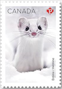 Stamp, Ermine (Mustela erminea), Canada,  , Mammals