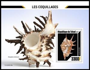 Souvenir Sheet, Lambis lambis, Chad,  , Sea Life, Shells