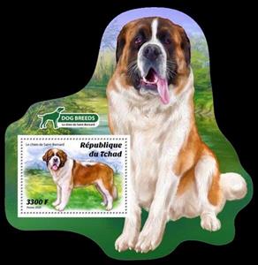 Souvenir Sheet, The Saint Bernard Dog, Chad,  , Animals (Fauna), Dogs