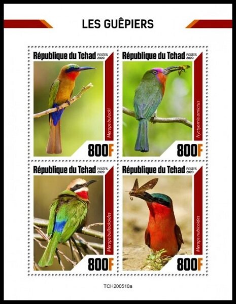 Various Bee Eaters