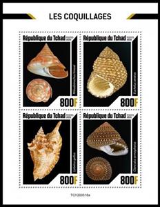 Mini Sheet, Various Shells, Chad,  , Sea Life, Shells