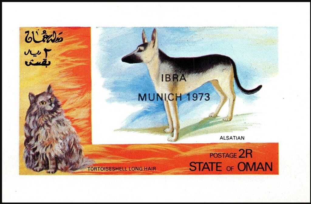 Alsatian and Tortoiseshell Long Hair