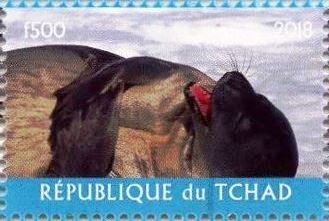 Stamp, Antarctic Animals, Cinderellas,  , Animals (Fauna), Sea (Marine) Mammals, Seals (Animals)