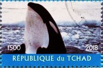 Stamp, Antarctic Animals, Cinderellas,  , Animals (Fauna), Sea (Marine) Mammals, Whales