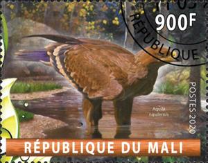 Stamp, Aquila nipalensis, Cinderellas,  , Animals (Fauna), Birds