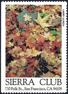 Stamp, Autumn leaves, Cinderellas,  