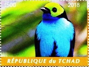 Stamp, Birds of Paradise, Cinderellas,  , Animals (Fauna), Birds