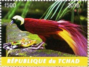 Stamp, Birds of Paradise, Cinderellas,  , Animals (Fauna), Birds