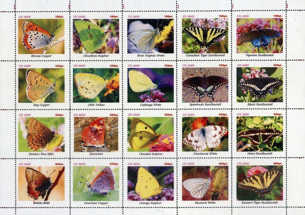 Butterflies