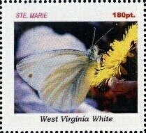 Stamp, Butterflies, Cinderellas,  , Butterflies, Insects