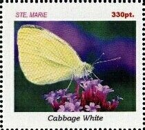 Butterflies