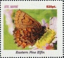 Butterflies