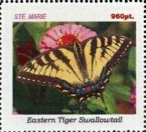 Butterflies