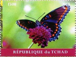 Stamp, Butterflies, Cinderellas,  , Animals (Fauna), Butterflies, Insects