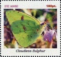 Butterflies