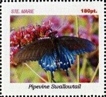 Butterflies