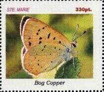 Butterflies