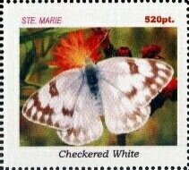 Butterflies