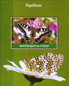 Souvenir Sheet, Butterflies, Cinderellas,  , Animals (Fauna), Butterflies, Insects
