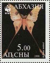 Stamp, Butterflies, Cinderellas,  , Animals (Fauna), Butterflies, Insects