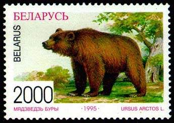 Stamp Bear