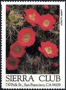 Stamp, Cacti, Cinderellas,  , Cacti, Flowers