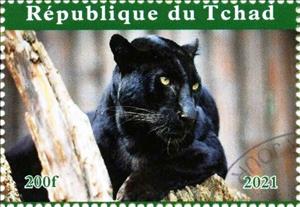 Stamp, Cats of Prey, Cinderellas,  , Animals (Fauna), Wild Cats