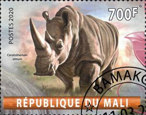 Stamp, Ceratotherium simum, Cinderellas,  , Animals (Fauna), Mammals