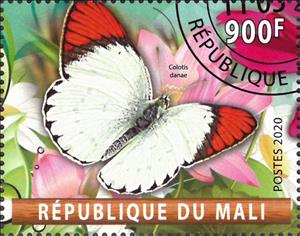 Mini Sheet, Colotis danae, Cinderellas,  , Animals (Fauna), Butterflies, Insects