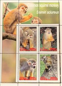 Mini Sheet, Common squirrel monkey, Cinderellas,  , Animals (Fauna), Mammals, Monkeys