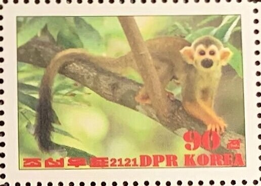Common squirrel monkey