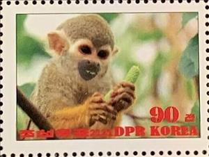Stamp, Common squirrel monkey, Cinderellas,  , Animals (Fauna), Monkeys