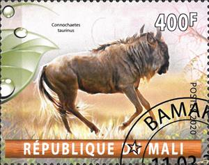 Stamp, Connochaetes taurinus, Cinderellas,  , Animals (Fauna), Antelopes, Mammals