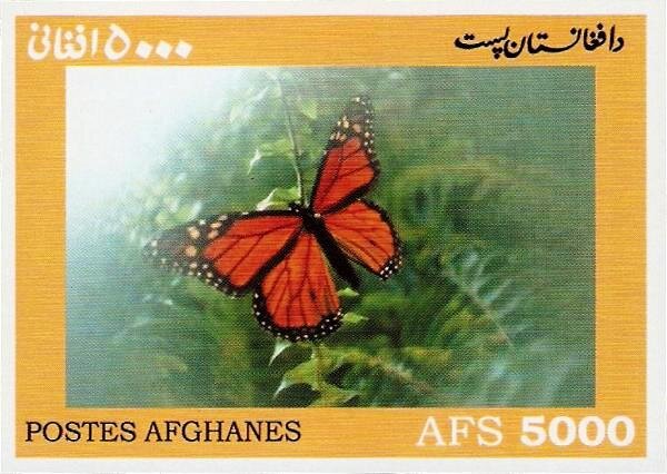 Danaus plexippus